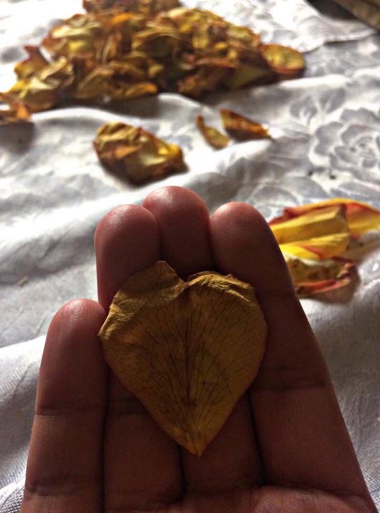El Amor está en Febrero