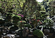 Submerso em Poços de Caldas