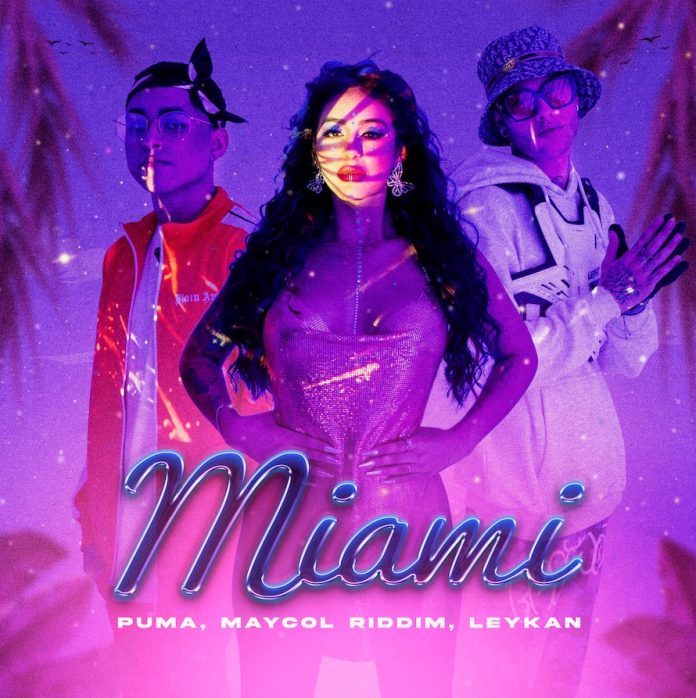 MiamiPuma