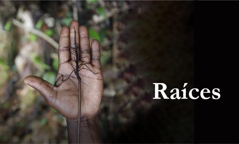 Día de la Mujer Afrolatina, Afrocaribeña y de la Diáspora
