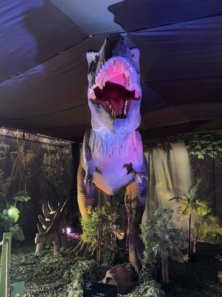 Dino Experience