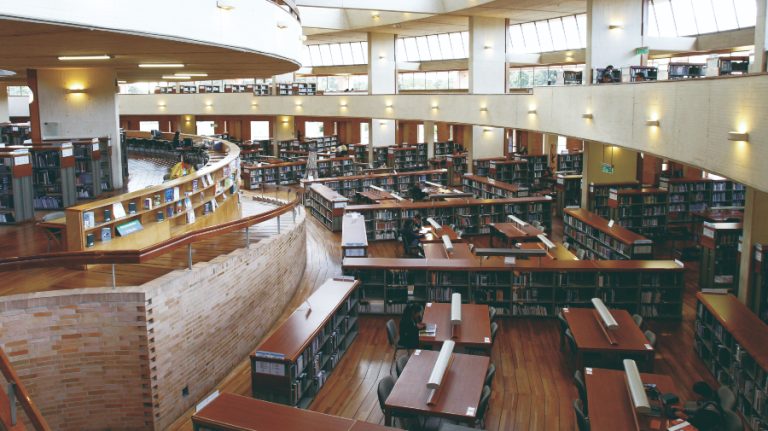 2025 es el Año de las Bibliotecas Agentes Vivos de Cambio