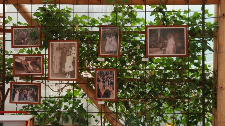 ‘Entretejidxs’: Un Libro que Teje la Memoria de San Cristóbal