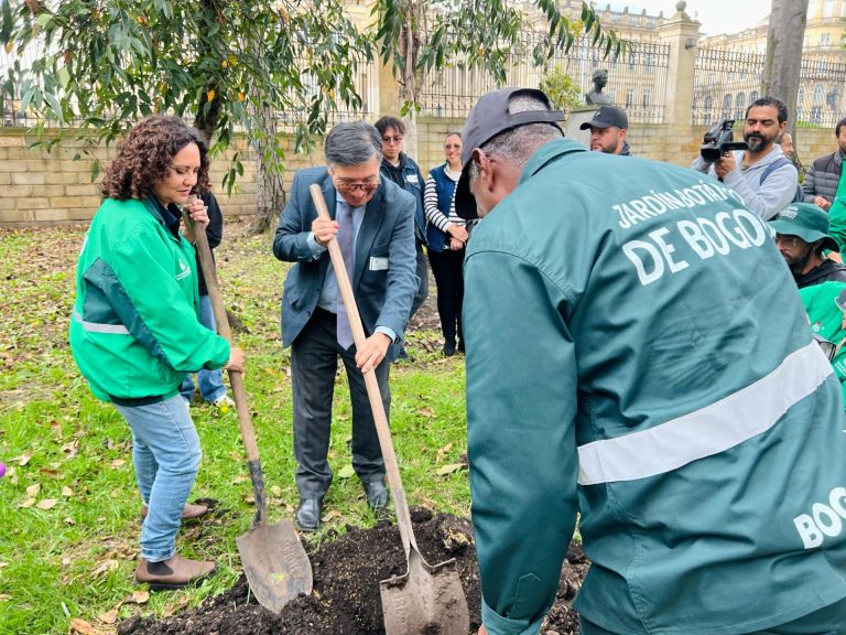El Observatorio Astronómico Nacional de Colombia Florece con Nuevos Jardines que Cuentan su Historia