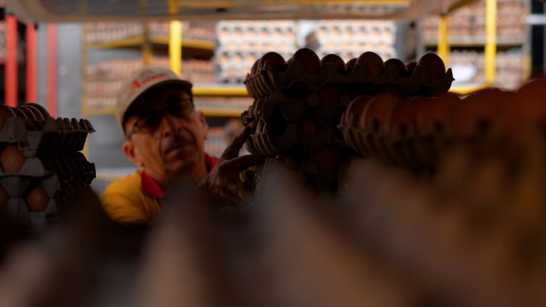 Producción Responsable y Energía Limpia: AVINAL Marca el Presente y Futuro de la Industria del Huevo