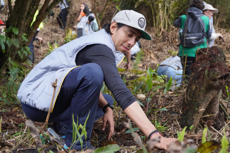 Junto a Comunidades Locales, Banco de Bogotá ha Sembrado más de 143.000 Árboles Para Restaurar Bosques en Diferentes Regiones del País
