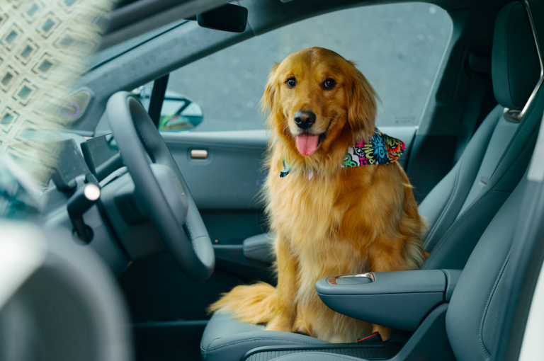 Zeekr, la Marca de Carros en Colombia que Cuida a las Mascotas