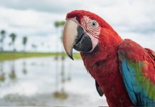 Destinos Competitivos que Impulsan el Turismo de los más de 21,7 Millones de Viajeros en Colombia