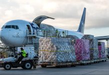 San Valentín Impulsa las Exportaciones de Flores Mientras FedEx Fortalece sus Operaciones Desde Colombia