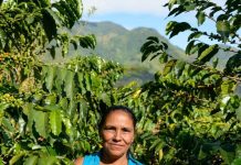 Starbucks Trae a Colombia sus Bebidas de Temporada y Lanza un Café Cultivado por Mujeres