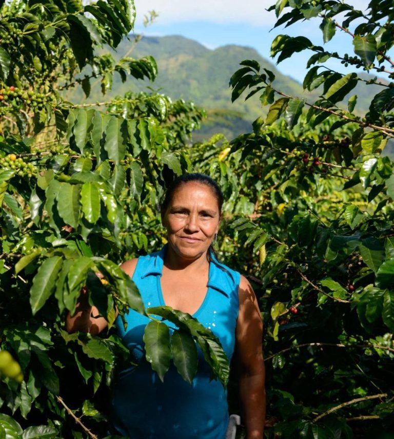 Starbucks Trae a Colombia sus Bebidas de Temporada y Lanza un Café Cultivado por Mujeres