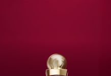 ¿Poder, Feminidad o Sensualidad? Descubre Qué Perfume Eres