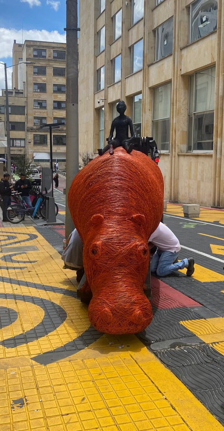 Un Hipopótamo Recorrió el Centro de Bogotá