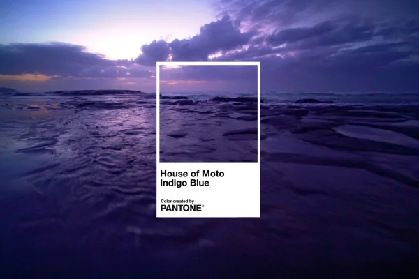 ColorMotorola