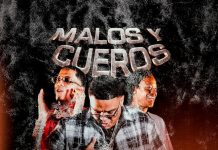 Mr Plata Sacude la Escena Urbana Global Junto a Conep y Jaime El King en ‘Malos y Cueros’