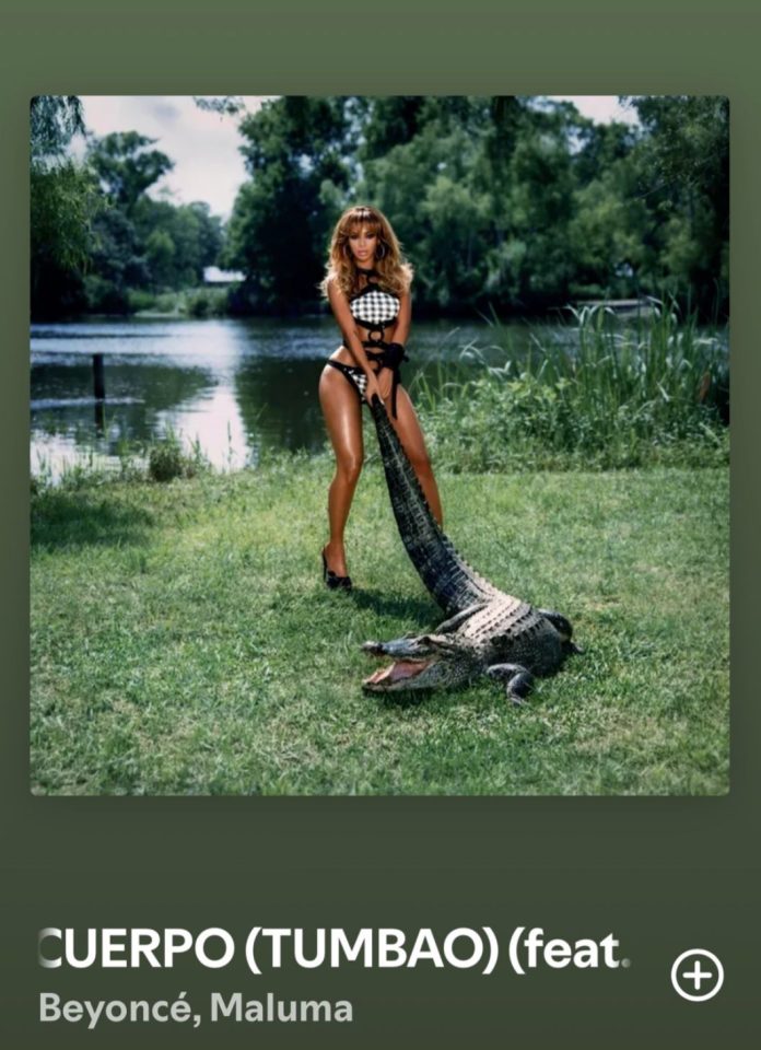 MalumaBeyoncé